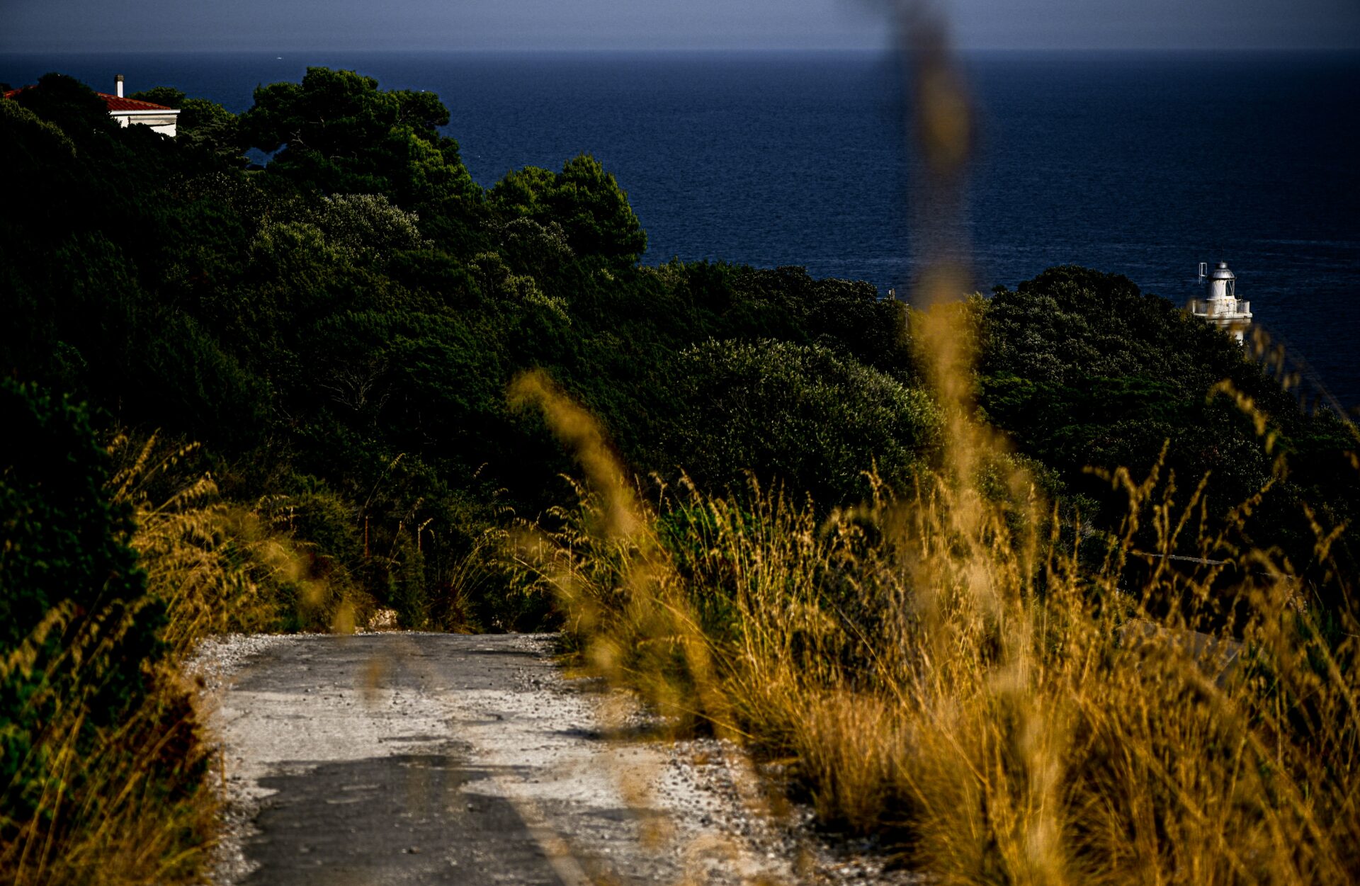 San Felice Circeo - view of the coastline or sea