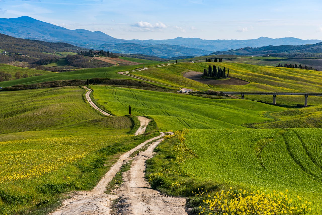 Scenic Tuscan Landscape with Rolling Hills