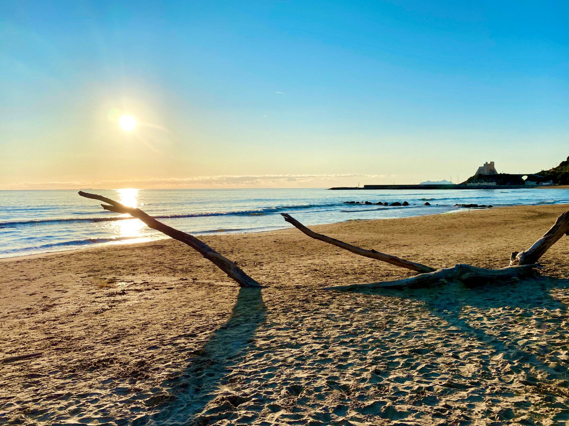 Sperlonga Beach Italy - a tree branch drowned in the beach sand
