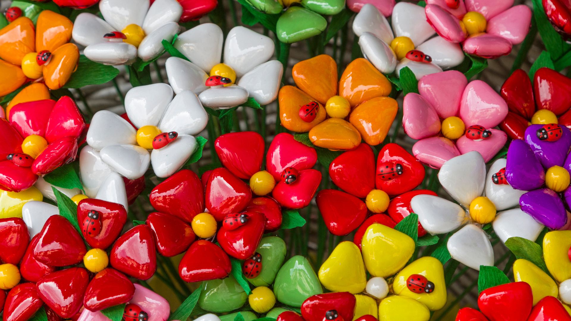 Image shows colorful flower Sulmona Confetti.