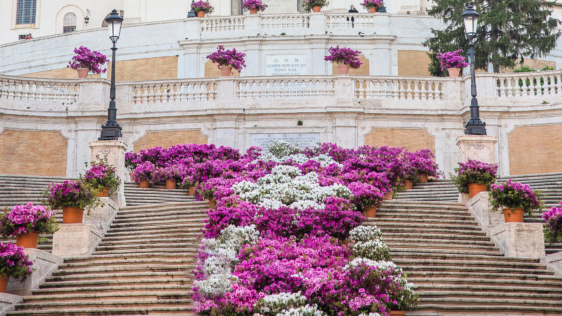 Image shows colorful flowers on The Spanish Steps in Rome