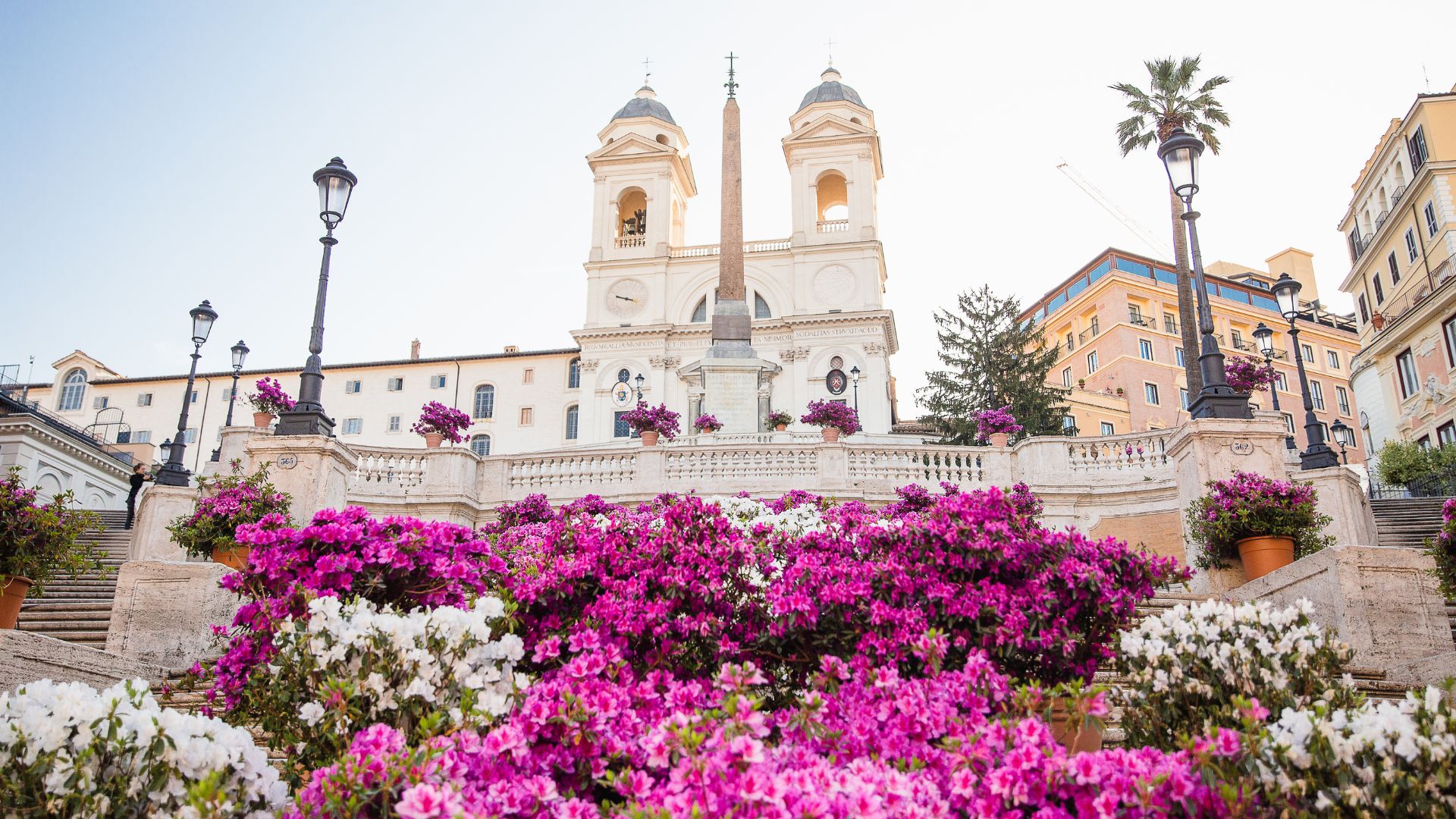 Image shows colorful flowers on The Spanish Steps in Rome