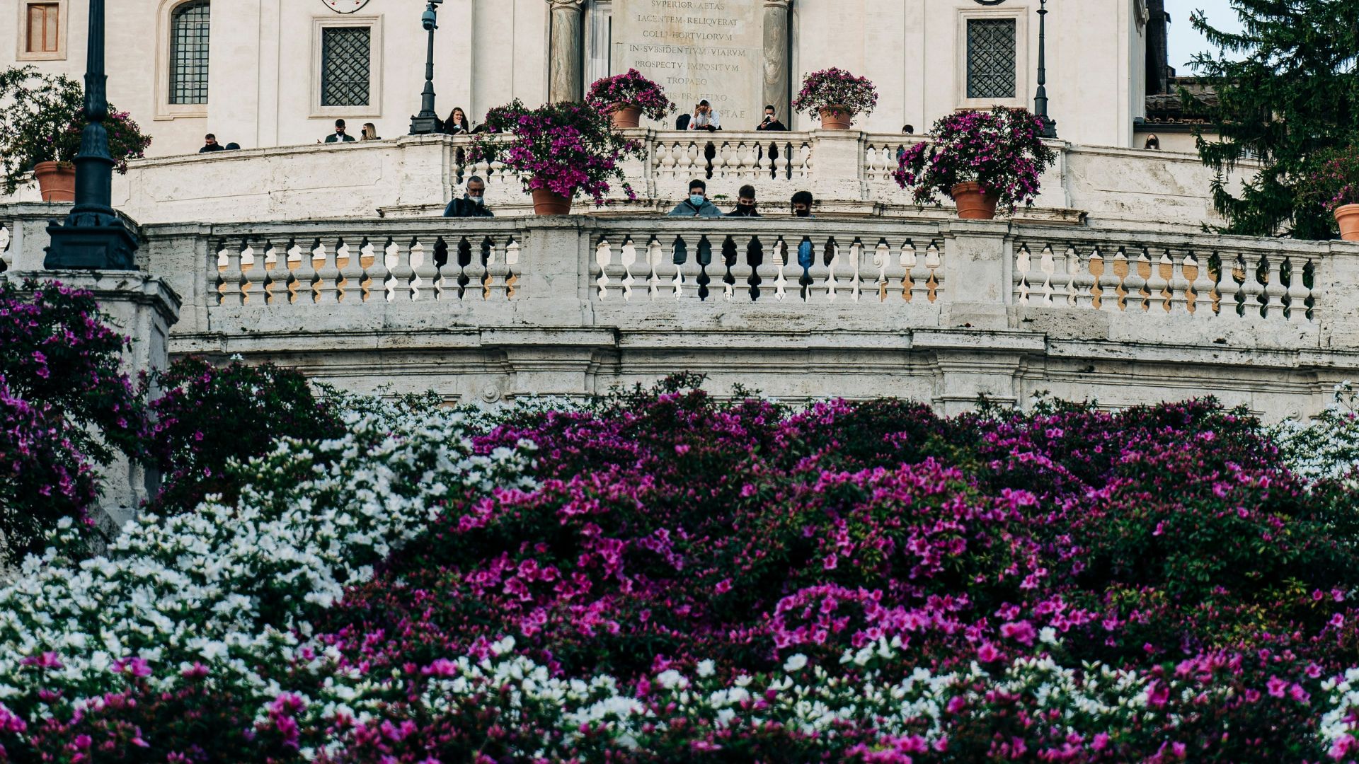 Image shows colorful flowers on The Spanish Steps in Rome