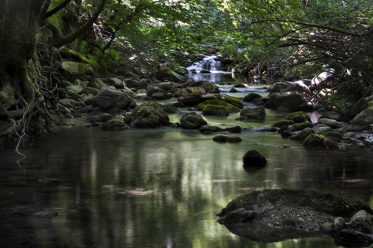 Torrente Quirino