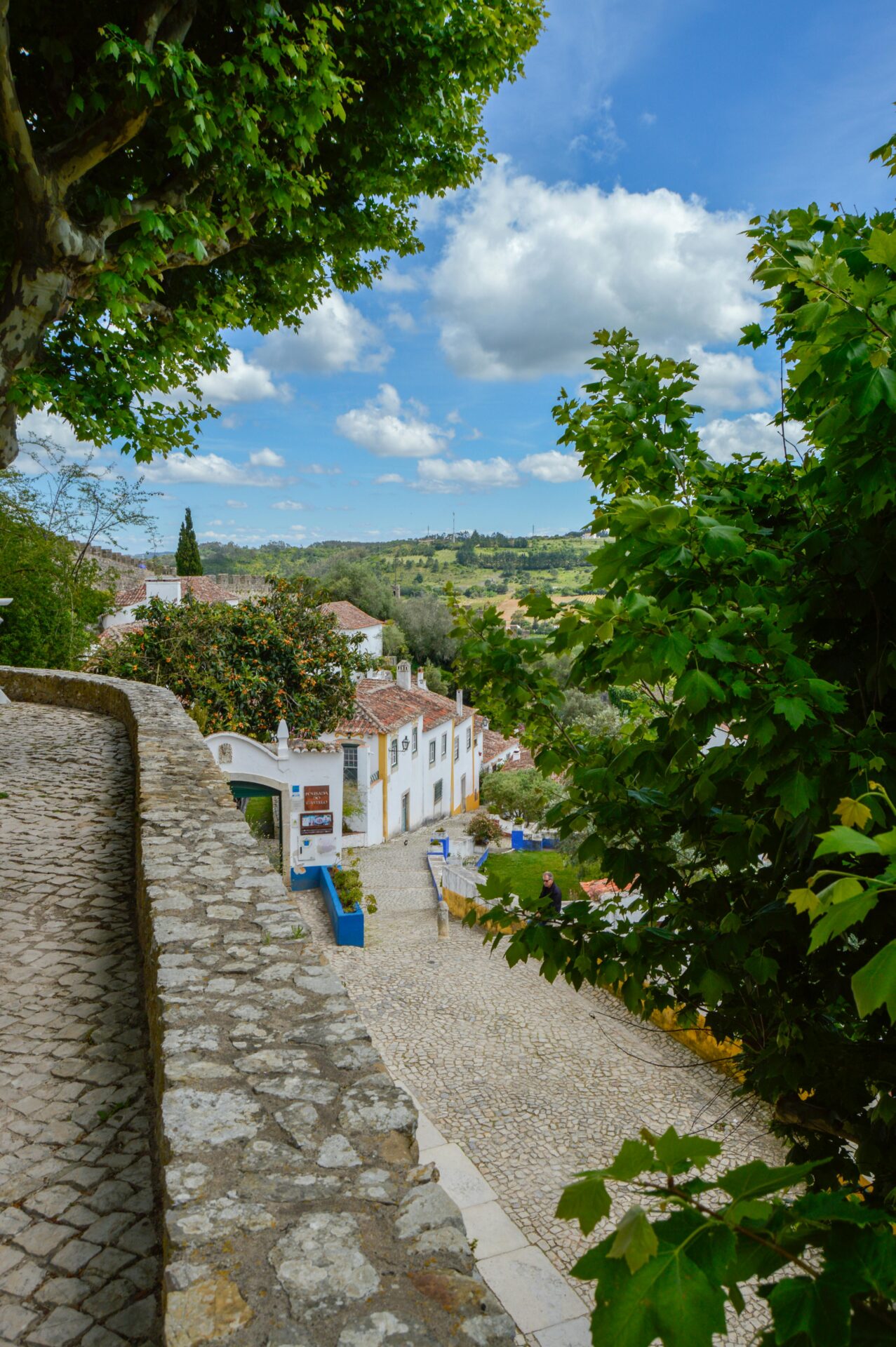 Trees around Wall and Houses in Óbidos, Portugal