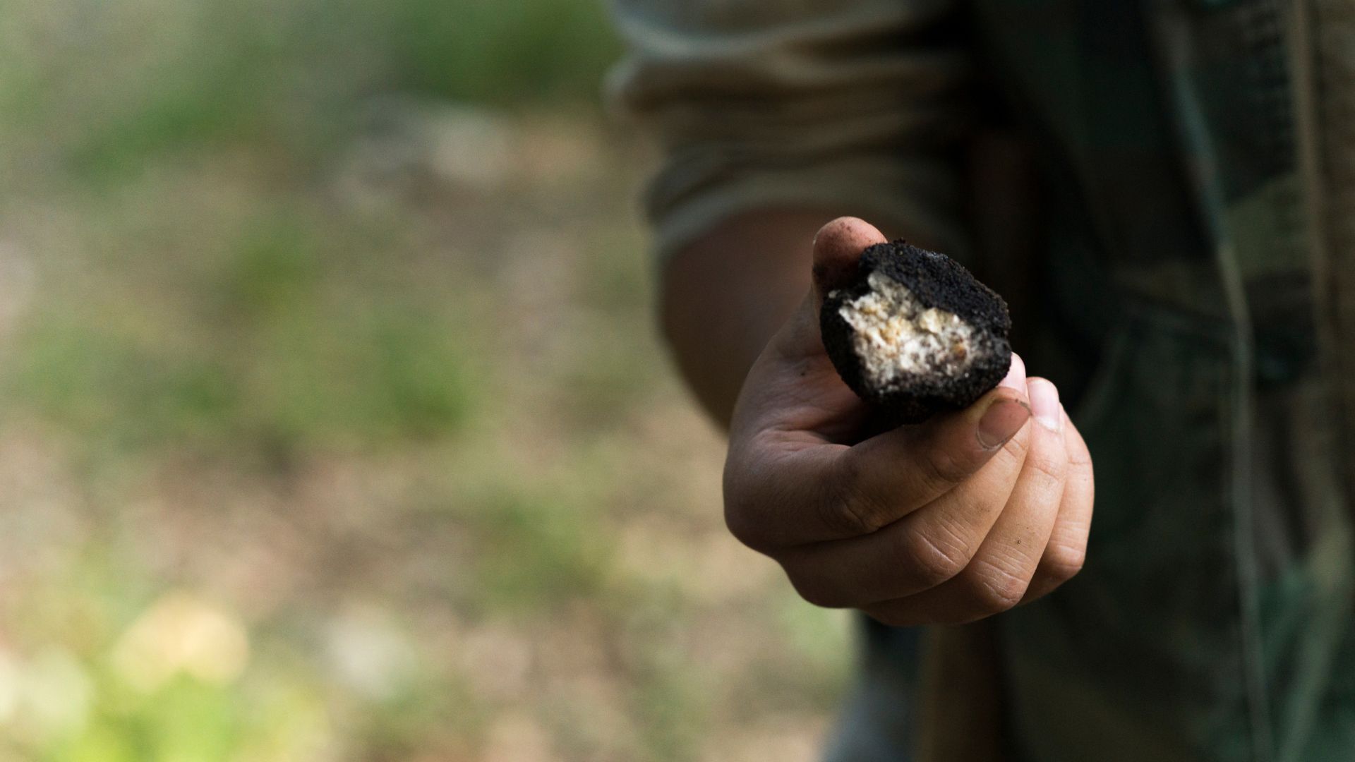 Image of a man holding a Black truffle.