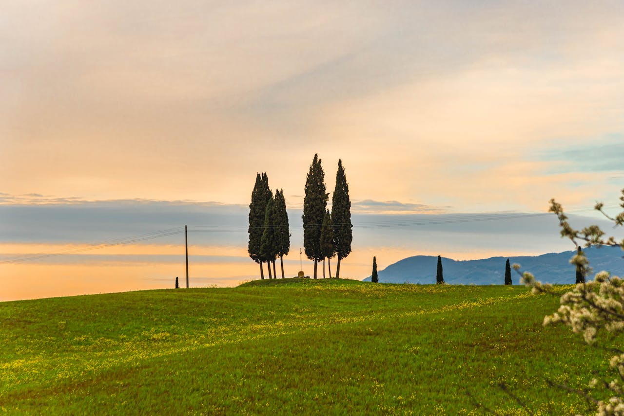 Tuscan Landscape at Sunset