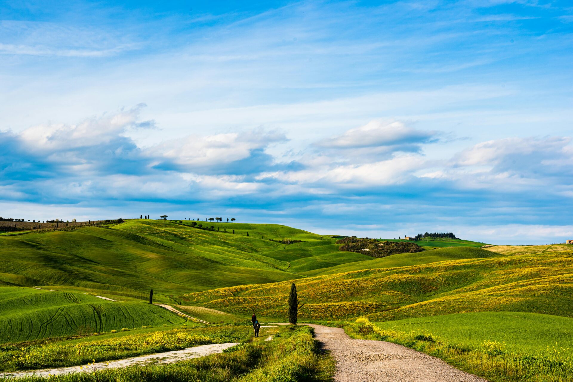Tuscan Landscape with Rolling Hills