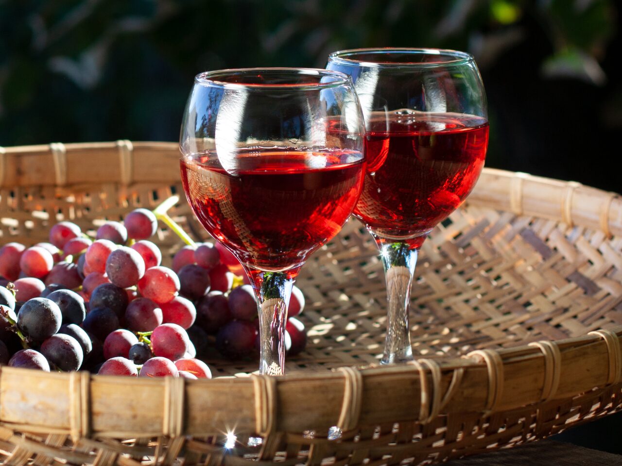 Two glasses of red wine - wine tasting event