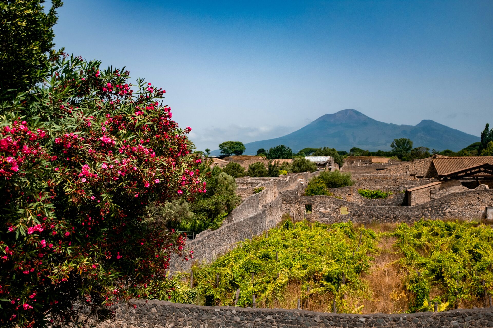 View of Mount Vesuvius rising in the distance