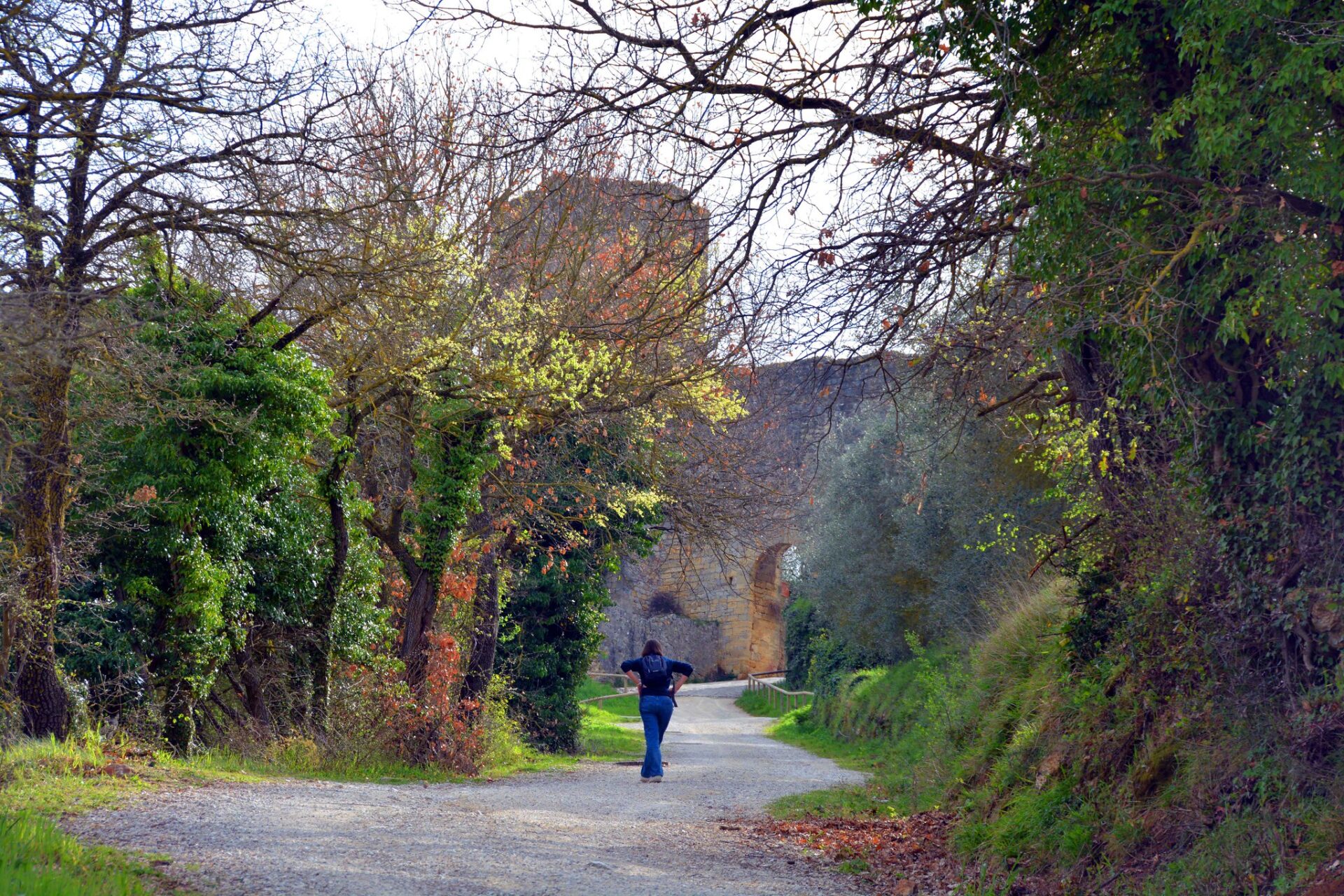 Via Francigena
