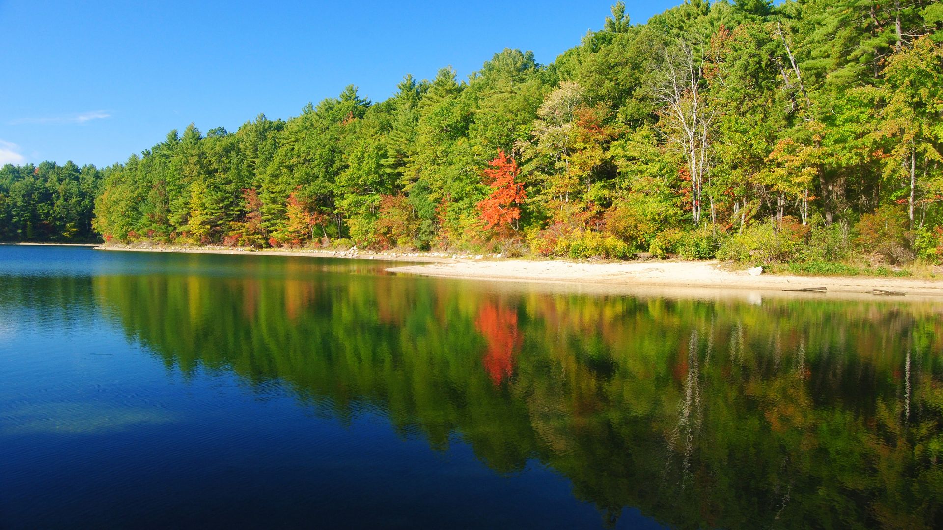 Image of Walden Pond, Massachusetts (USA)