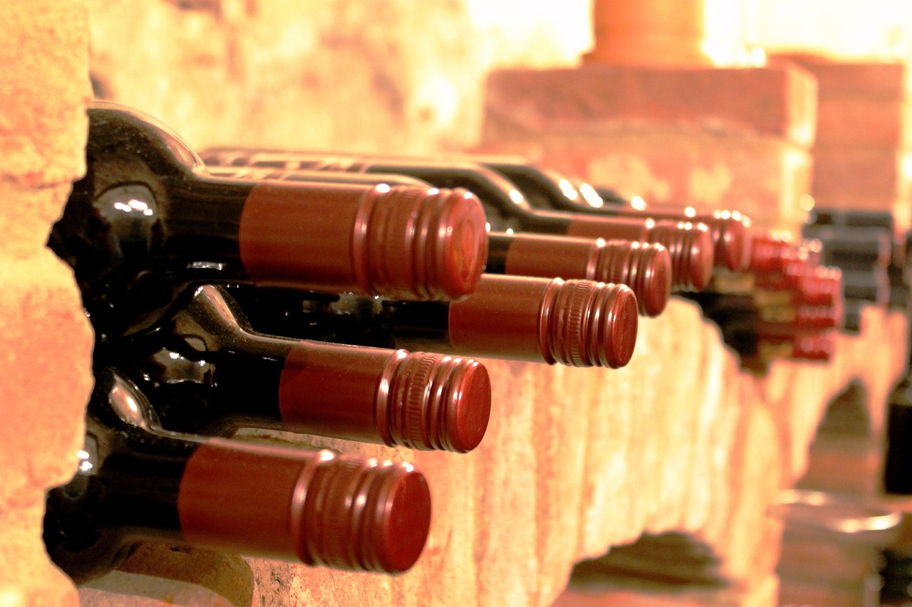 Wine cellar - wine bottles