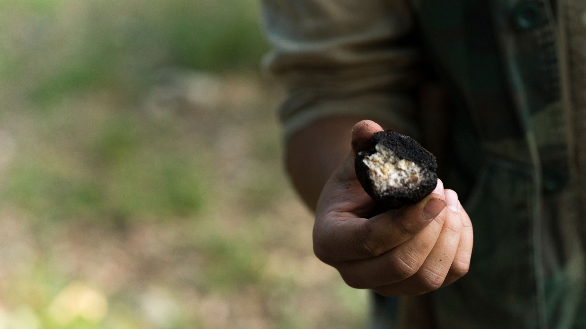 Image of Black Truffle hunting.