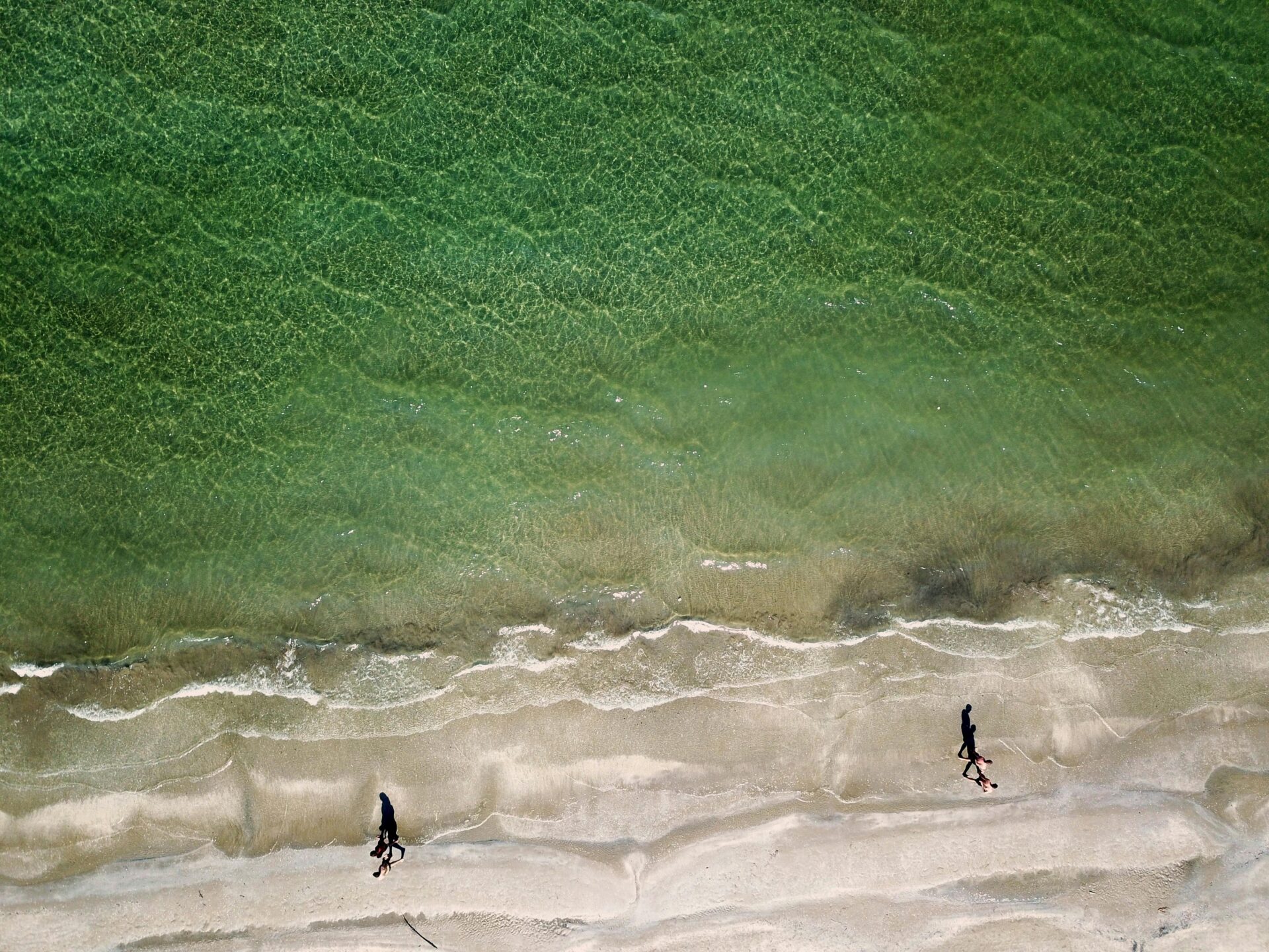 Drone shot of people walking on the shore of a beach in Cervia, Italy