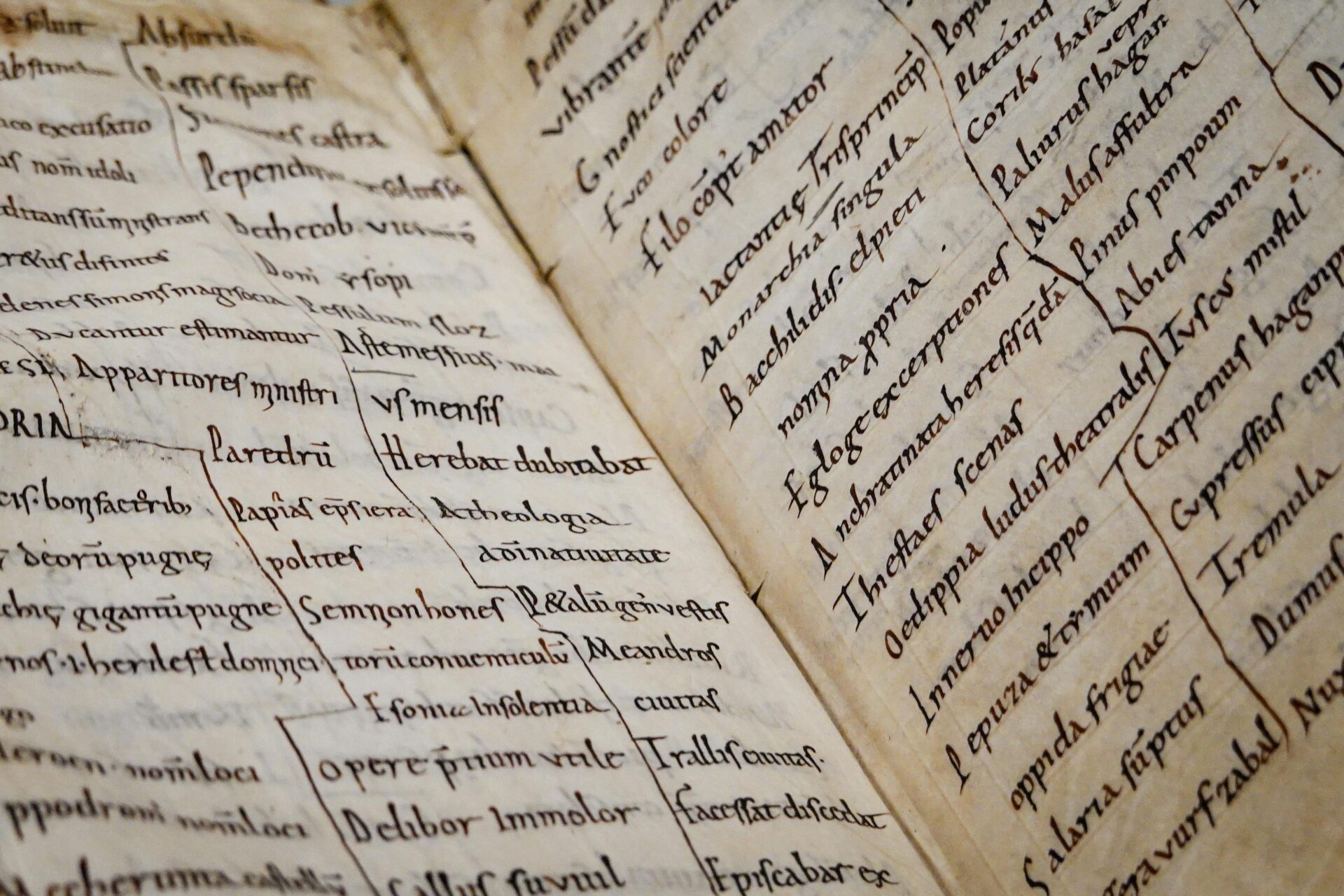 Ancient Manuscript with Latin Text