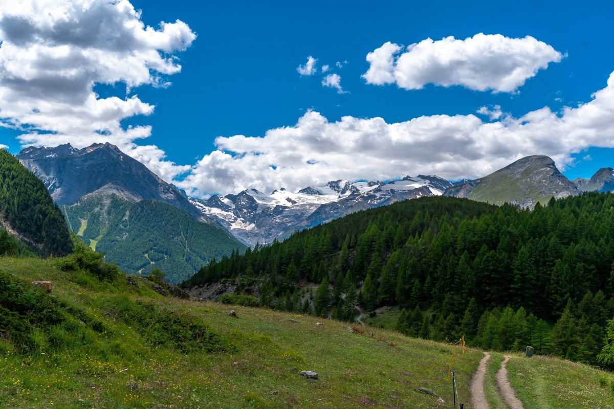 A scenic view of the Aosta Valley in Italy, featuring a dirt path through a green meadow, a dense forest, and snow-capped mountains in the background, under a blue sky with scattered clouds.