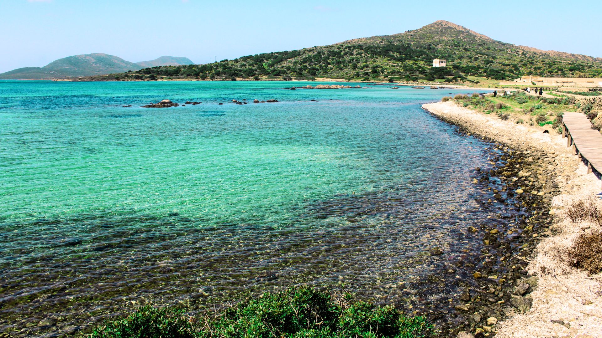 A scenic view of Asinara Island featuring clear turquoise waters meeting a rocky shoreline, with a backdrop of green hills under a clear sky.
