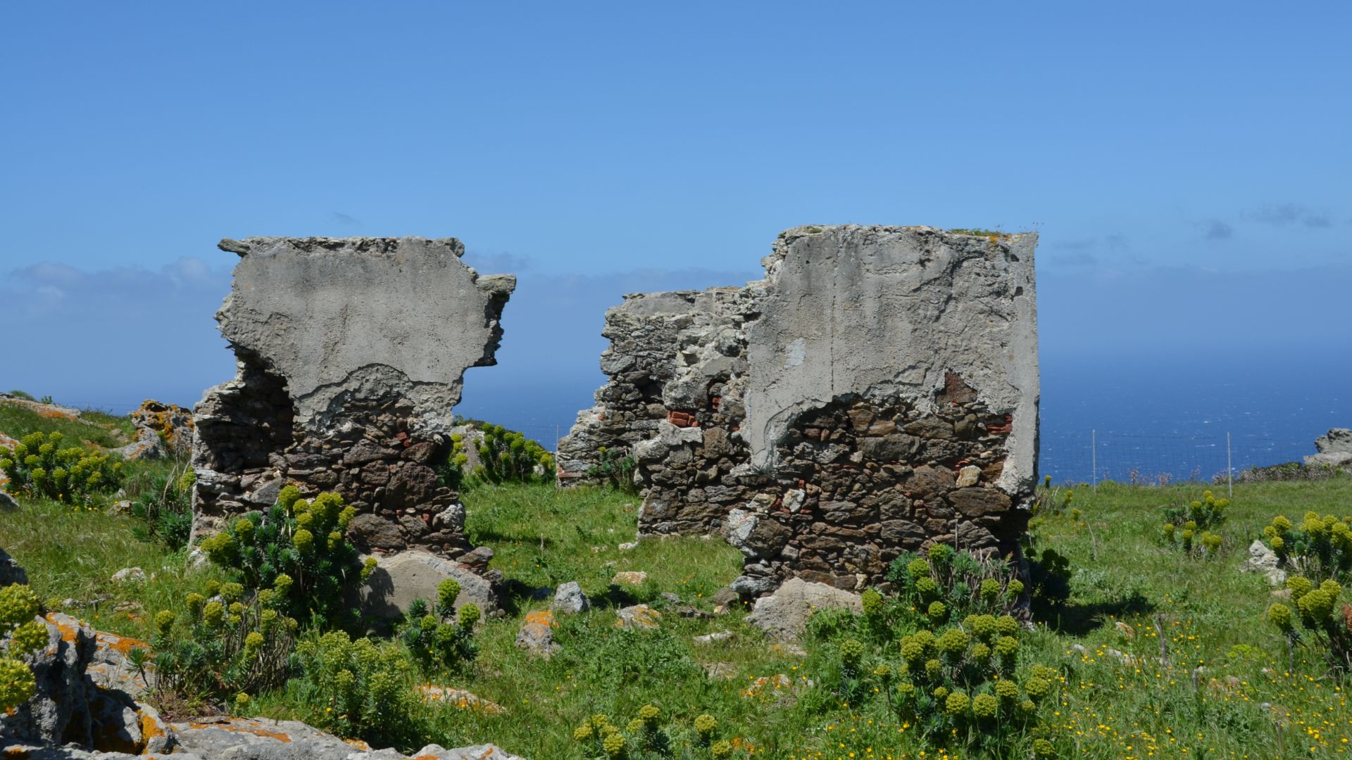 The weathered ruins of a stone building stand against a clear blue sky on Asinara Island. The structure, likely part of the former prison, shows significant decay, with crumbling walls revealing the layered stone construction. Green vegetation surrounds the ruins, indicating the island's natural environment.