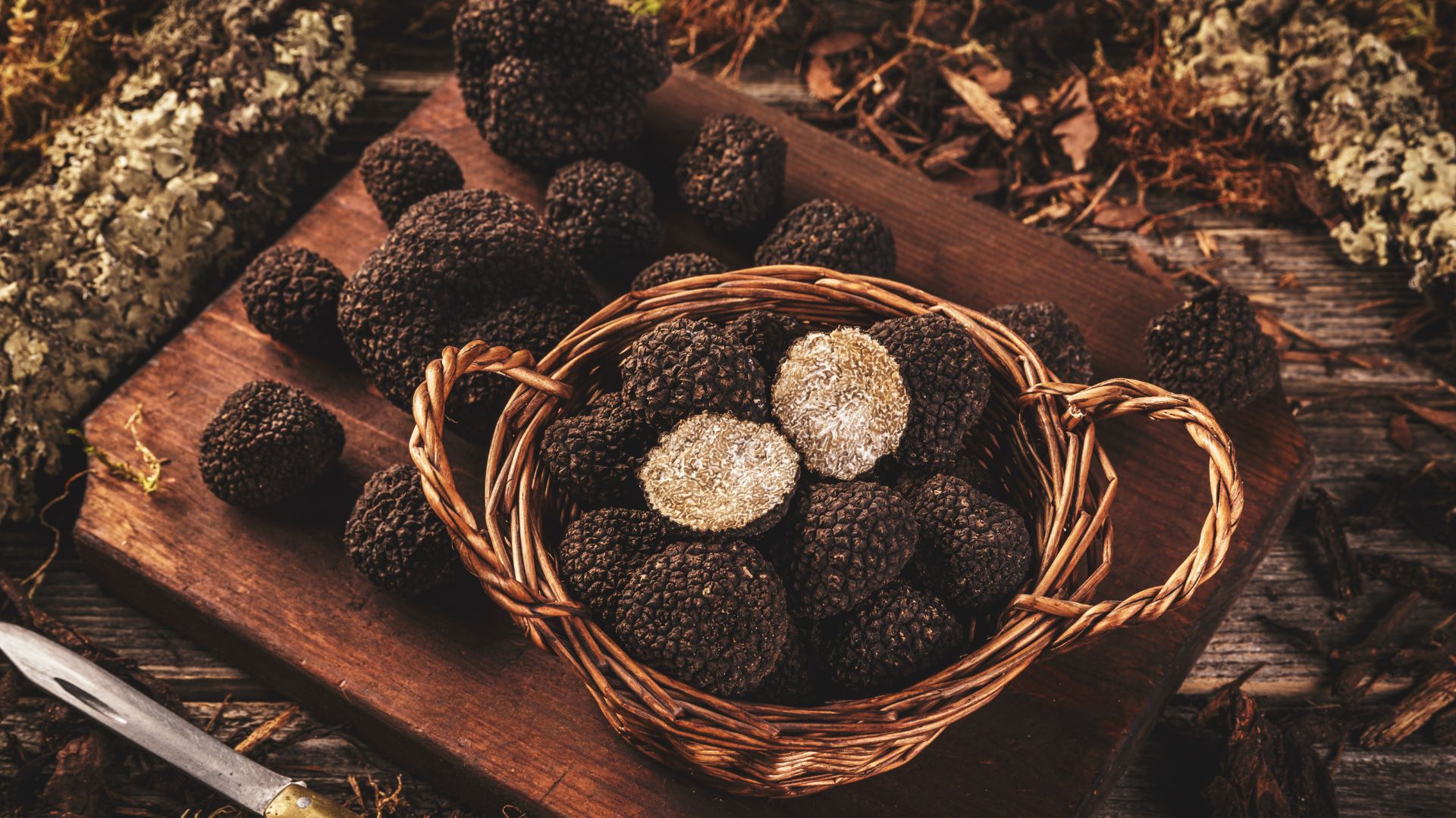 Black truffle
