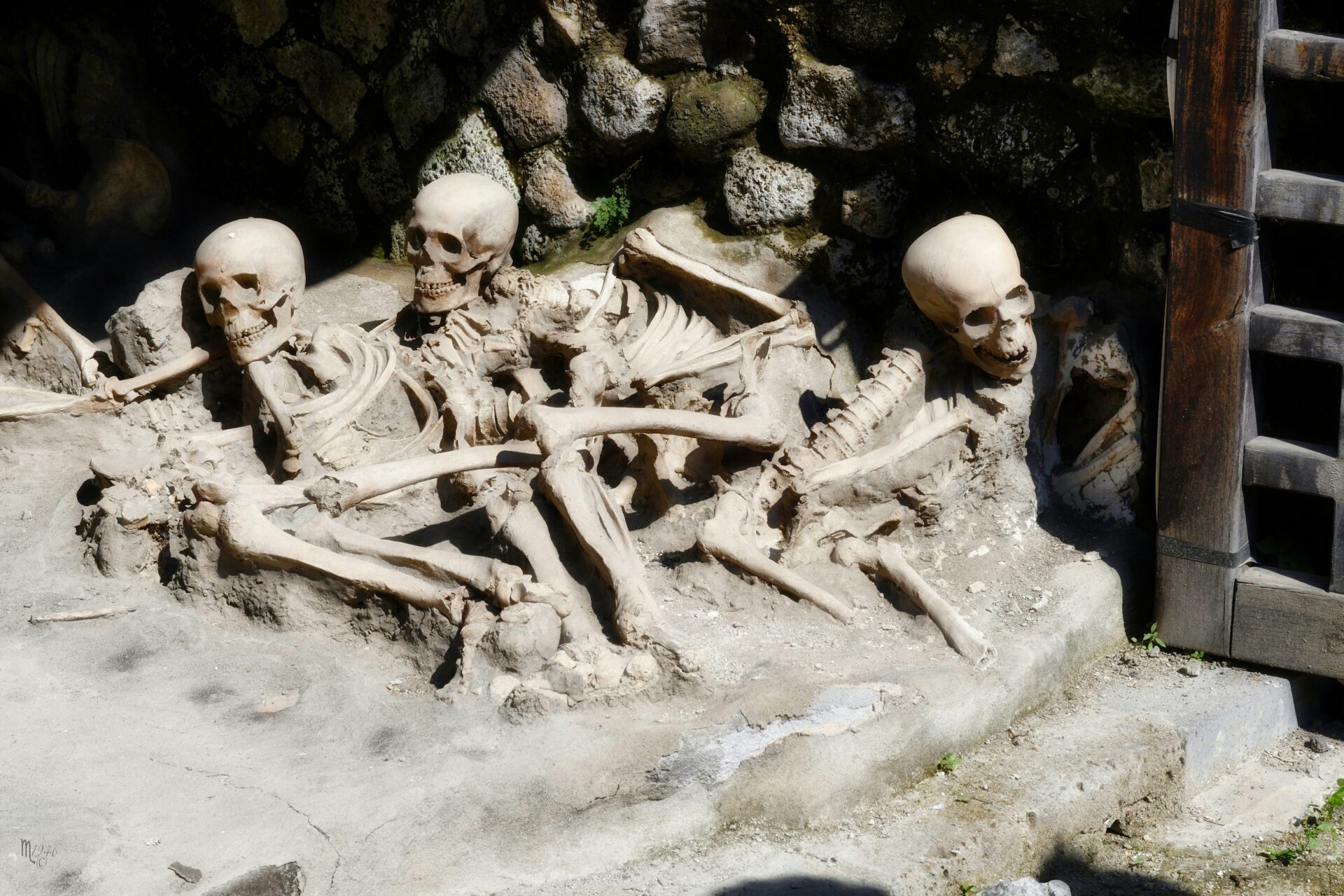 Bones in Herculaneum Italy