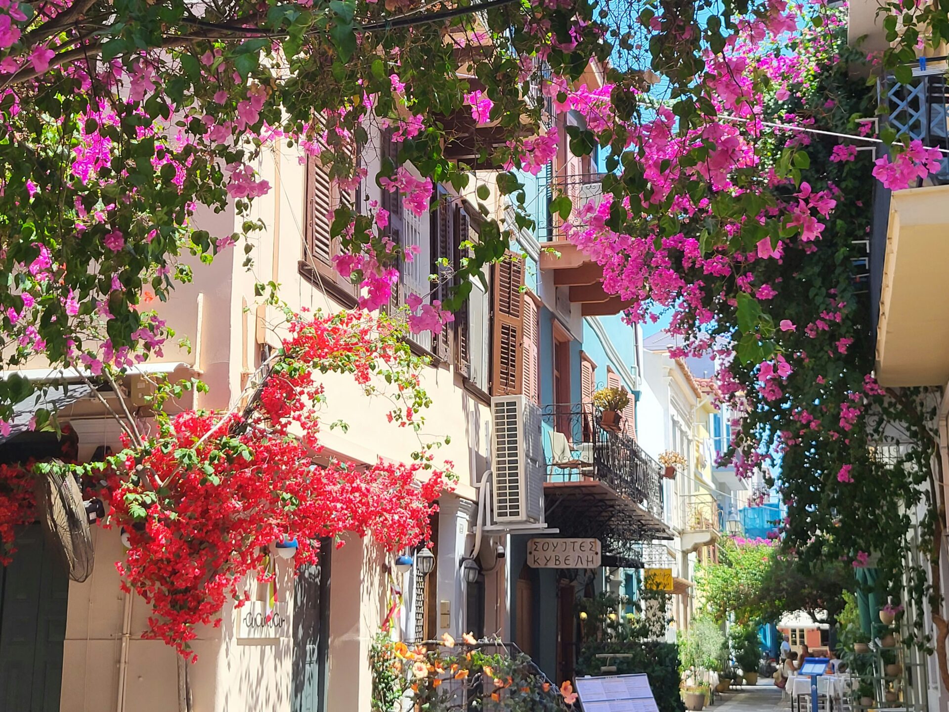 Bougainvillea in a neighborhood in Athens