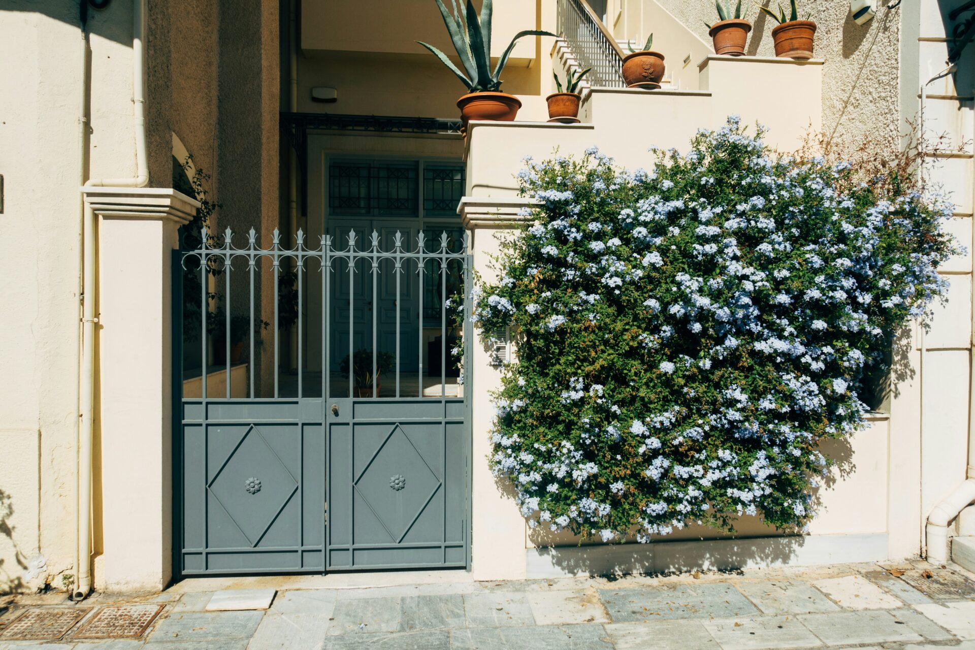 Bougainvillea next to the gate of a white-washed house - village in Athens