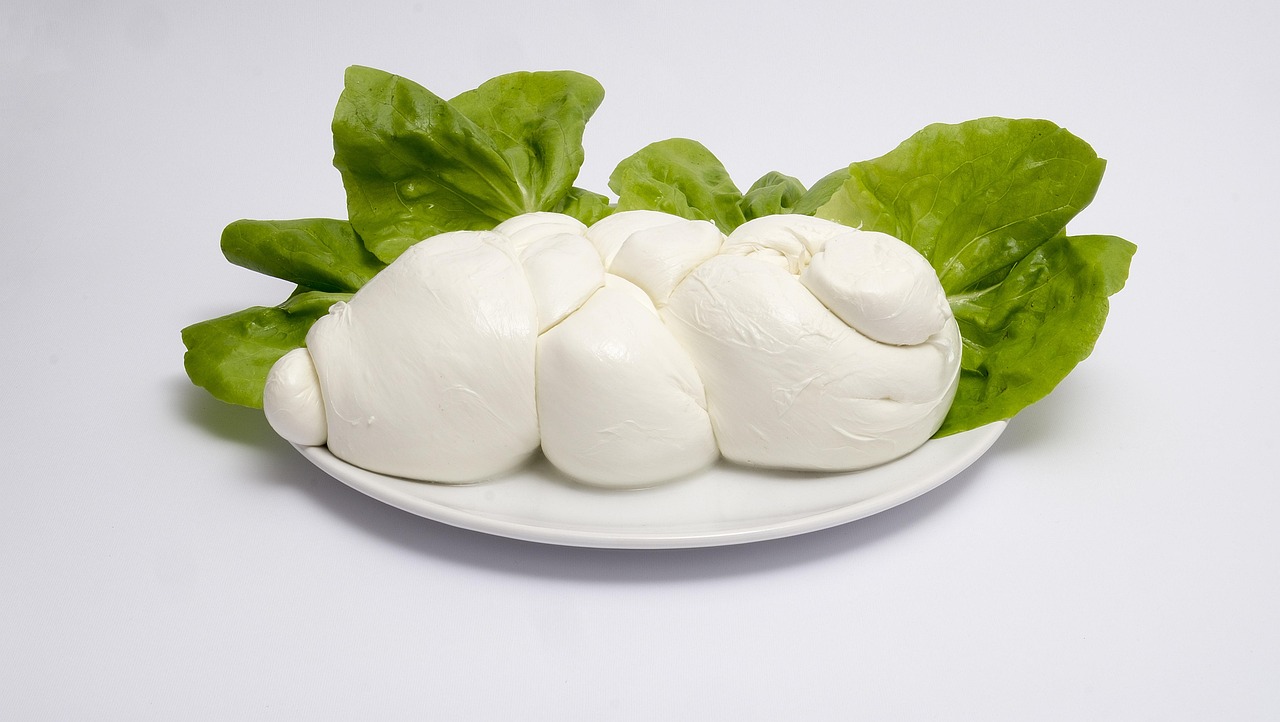 Buffalo mozzarella on a white plate with vegetable