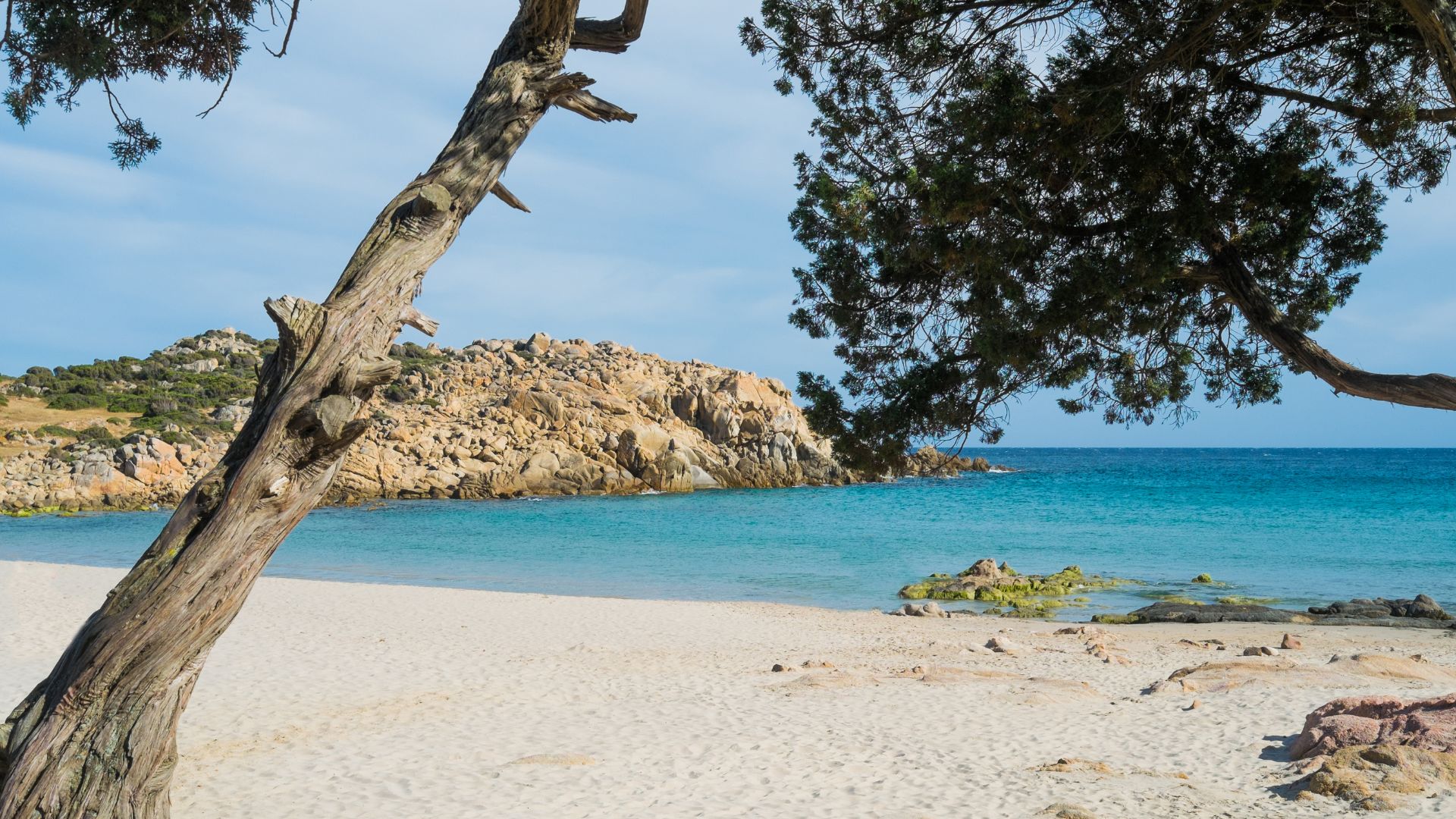 Cala Cipolla beach with white sand, turquoise water, framed by rocks and trees under a blue sky.