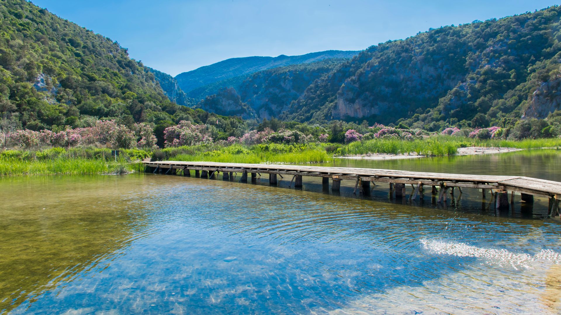 A wooden pier extends into the clear water of Cala Luna, surrounded by lush green hills and rocky cliffs under a blue sky.