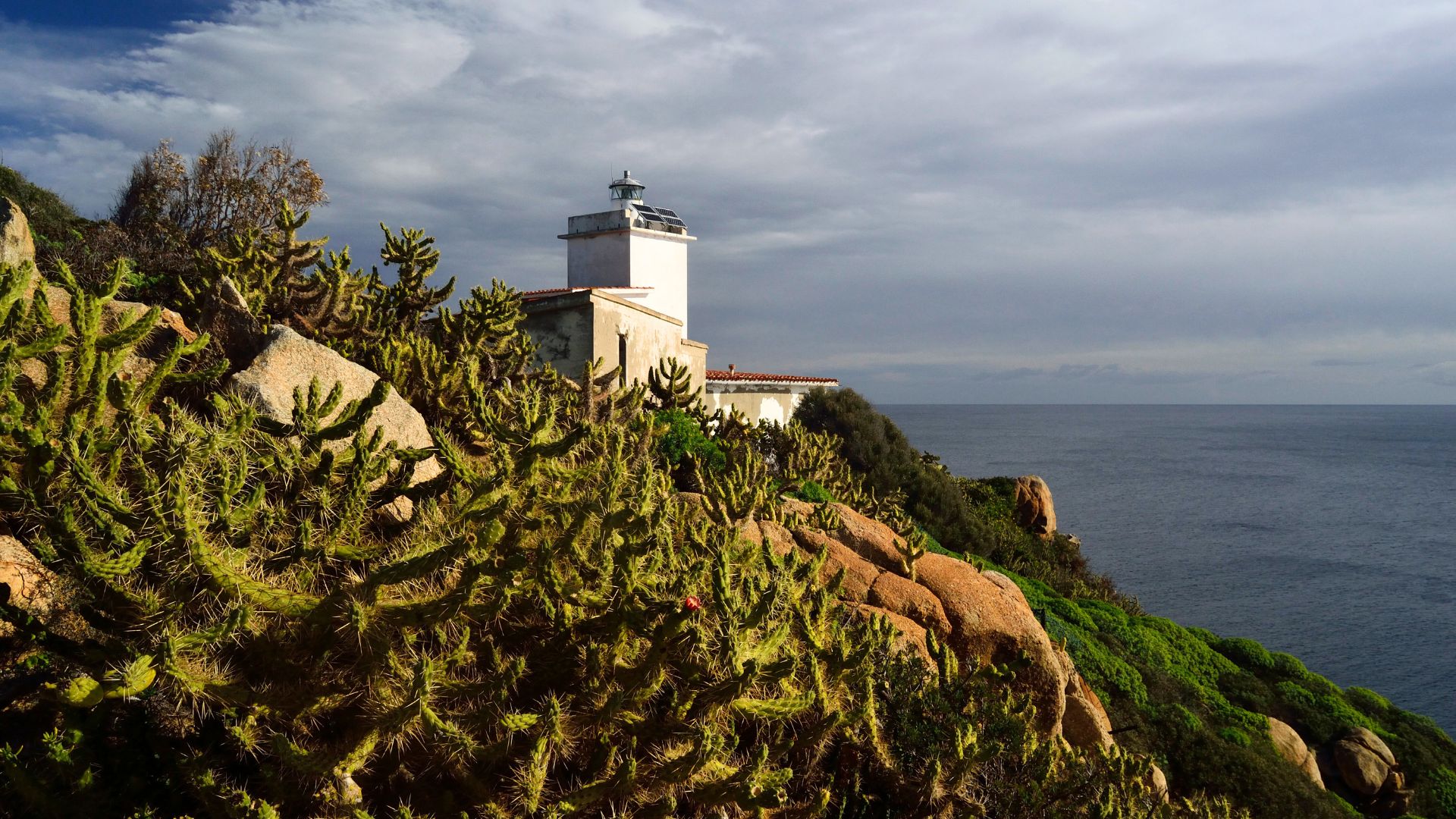 Capo Ferrato Lighthouse is perched atop a rocky, cactus-covered hill overlooking the sea. The lighthouse, painted white with a gray top, stands out against the cloudy sky and the dark blue water. The foreground is dominated by green cacti and brown rocks, while the background features the coastline and the sea.