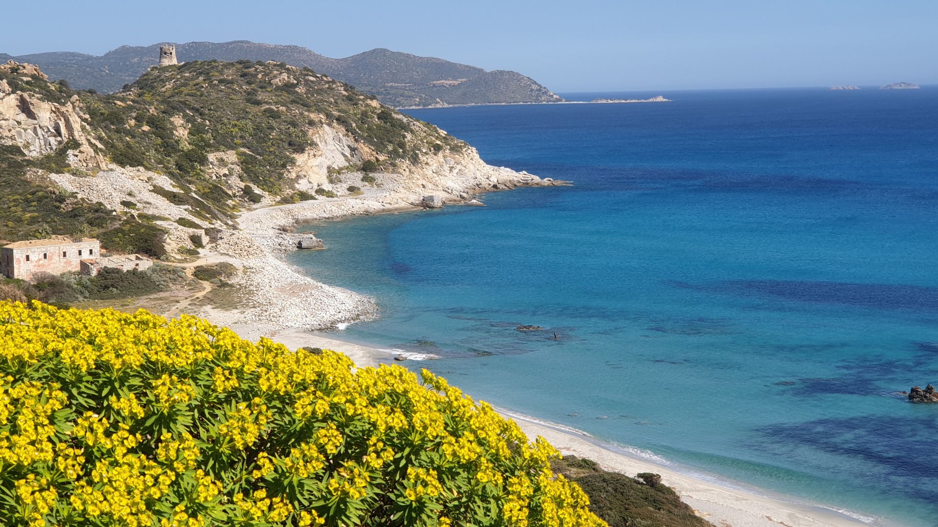 A scenic view of Capo Carbonara in Sardinia, Italy, featuring a coastline with rocky cliffs, a sandy beach, clear blue waters, and yellow flowers in the foreground.