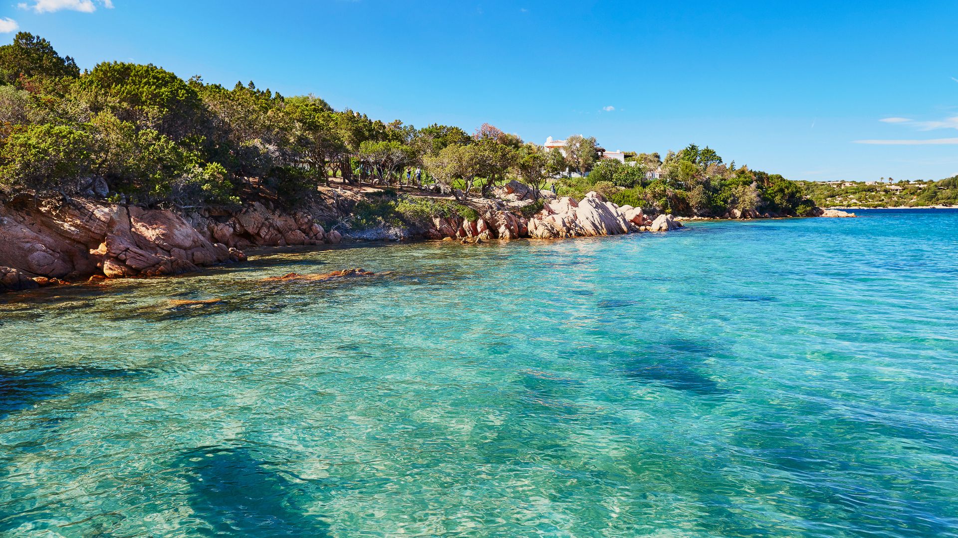 A scenic view of Capriccioli beach in Sardinia, featuring clear turquoise water, granite rocks, and lush greenery.