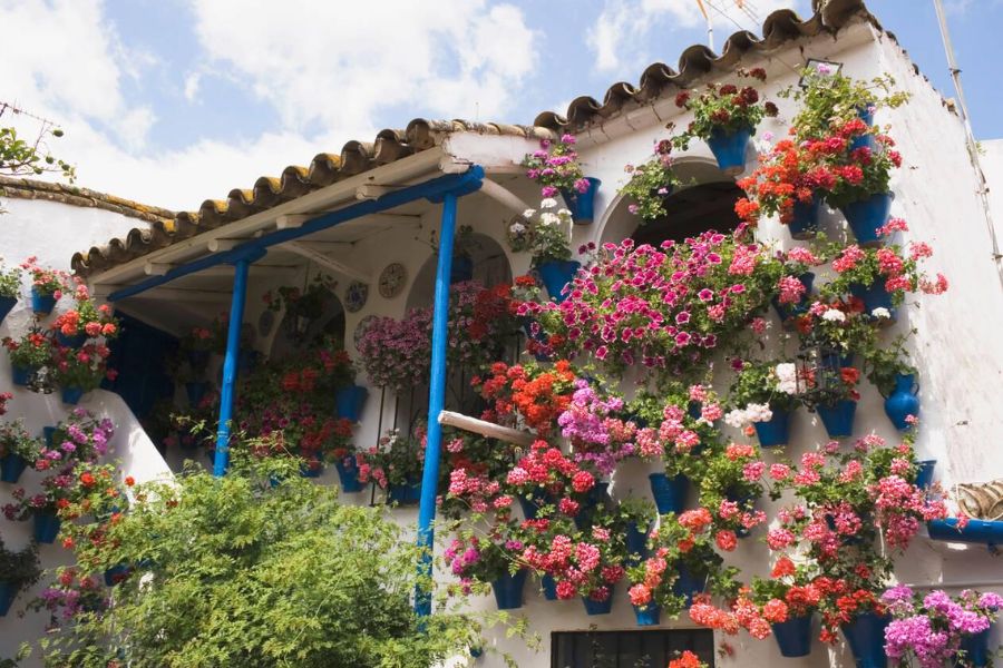 Córdoba's Patio Festival (May): My Dazzling Peek into Private Paradises Overflowing with Flowers! (A Seasonal Spectacle!)