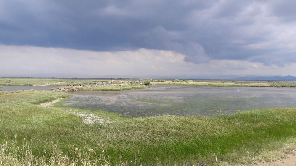 A wide-angle view of the expansive Evros Delta wetlands