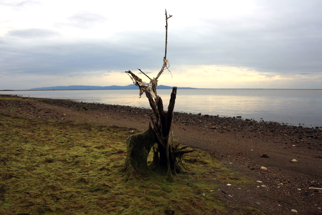 A tranquil scene in Evros Delta National Park