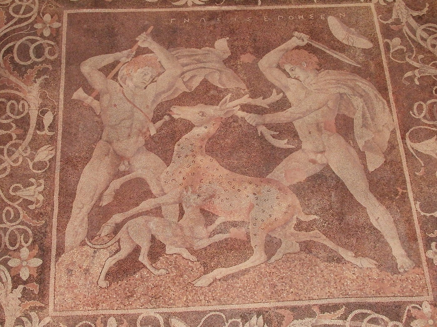 Preserved Hellenistic floor mosaic from Pella