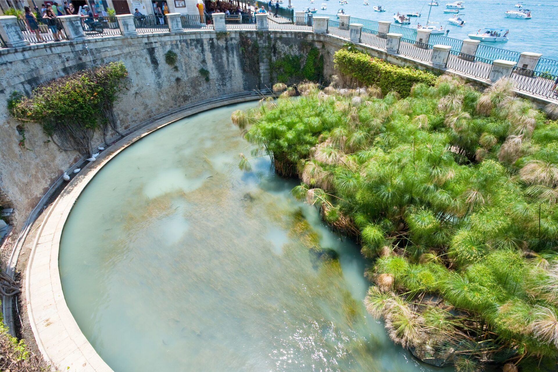 Fountain of Arethusa 