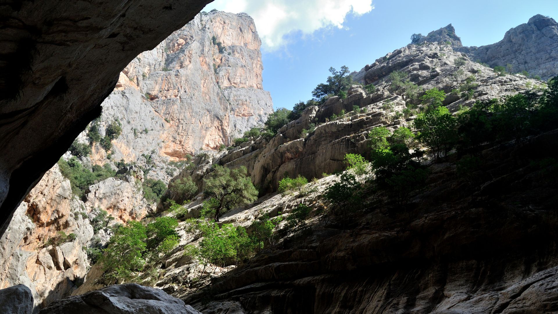 A view of the Gola di Su Gorropu, a deep canyon in Sardinia, Italy, featuring steep rock walls and green vegetation.