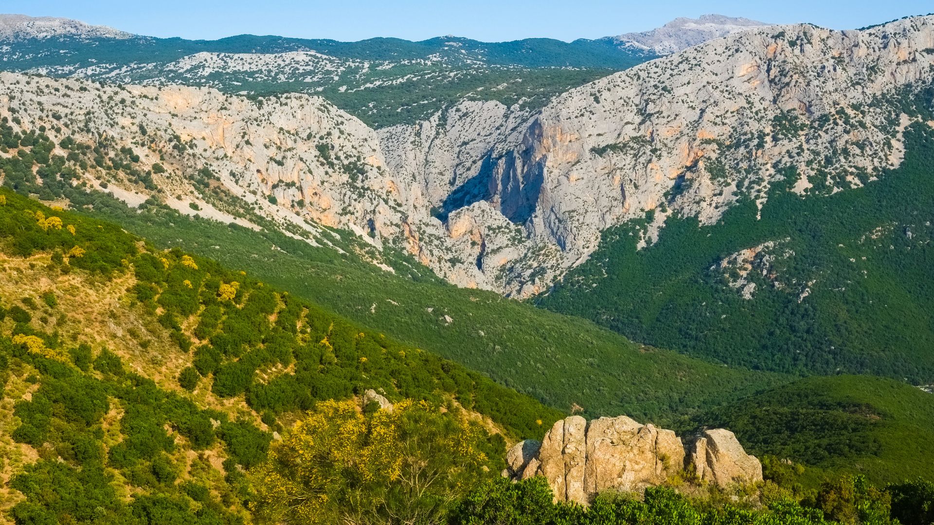 A panoramic view of the Gola di Su Gorropu, a deep canyon with steep, rocky walls, surrounded by green, forested hills and mountains under a clear sky.