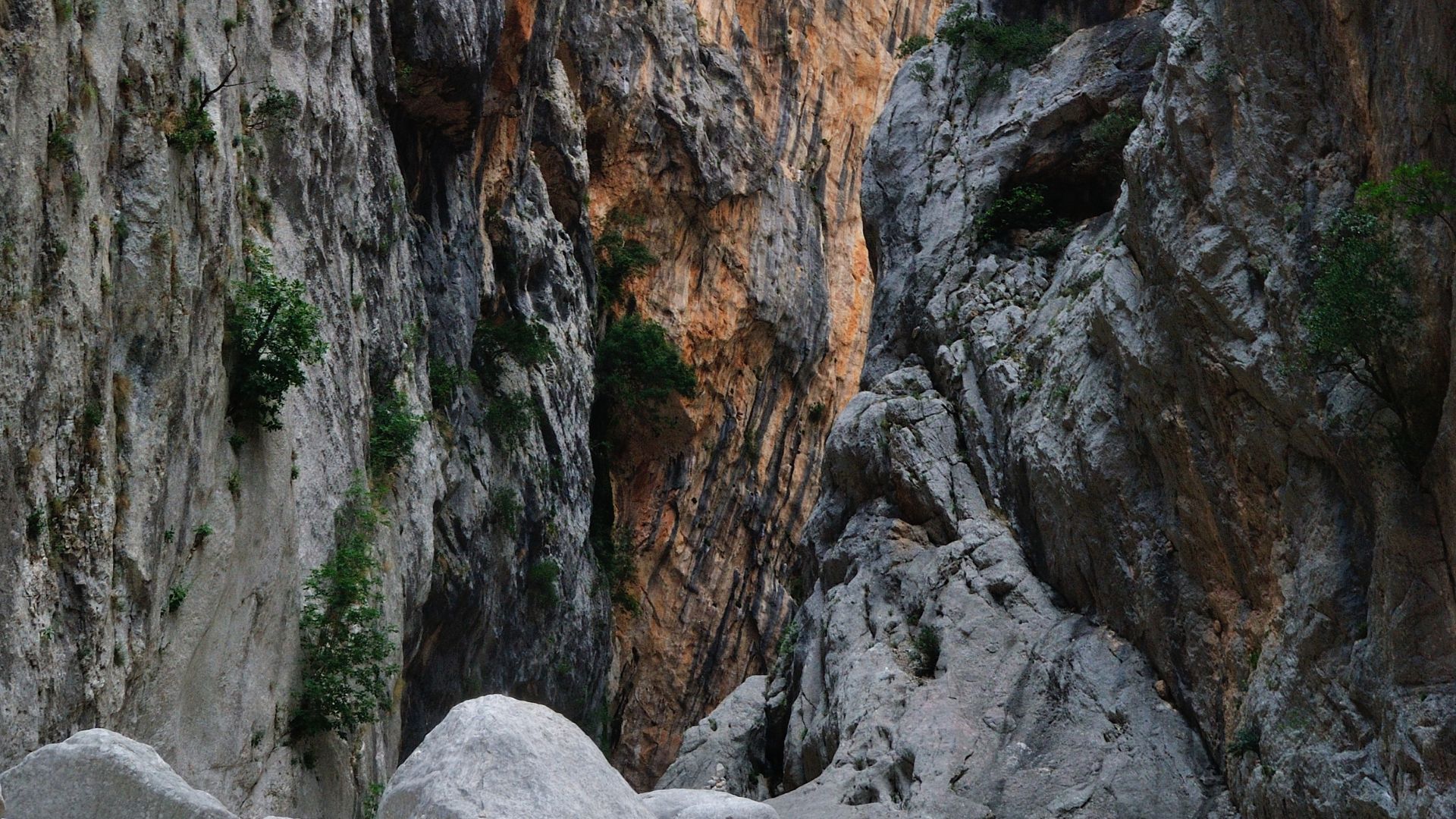 A view from the base of Gorropu Gorge, showcasing the towering rock walls with varying textures and colors, some patches of greenery, and large boulders at the bottom, under natural lighting. 