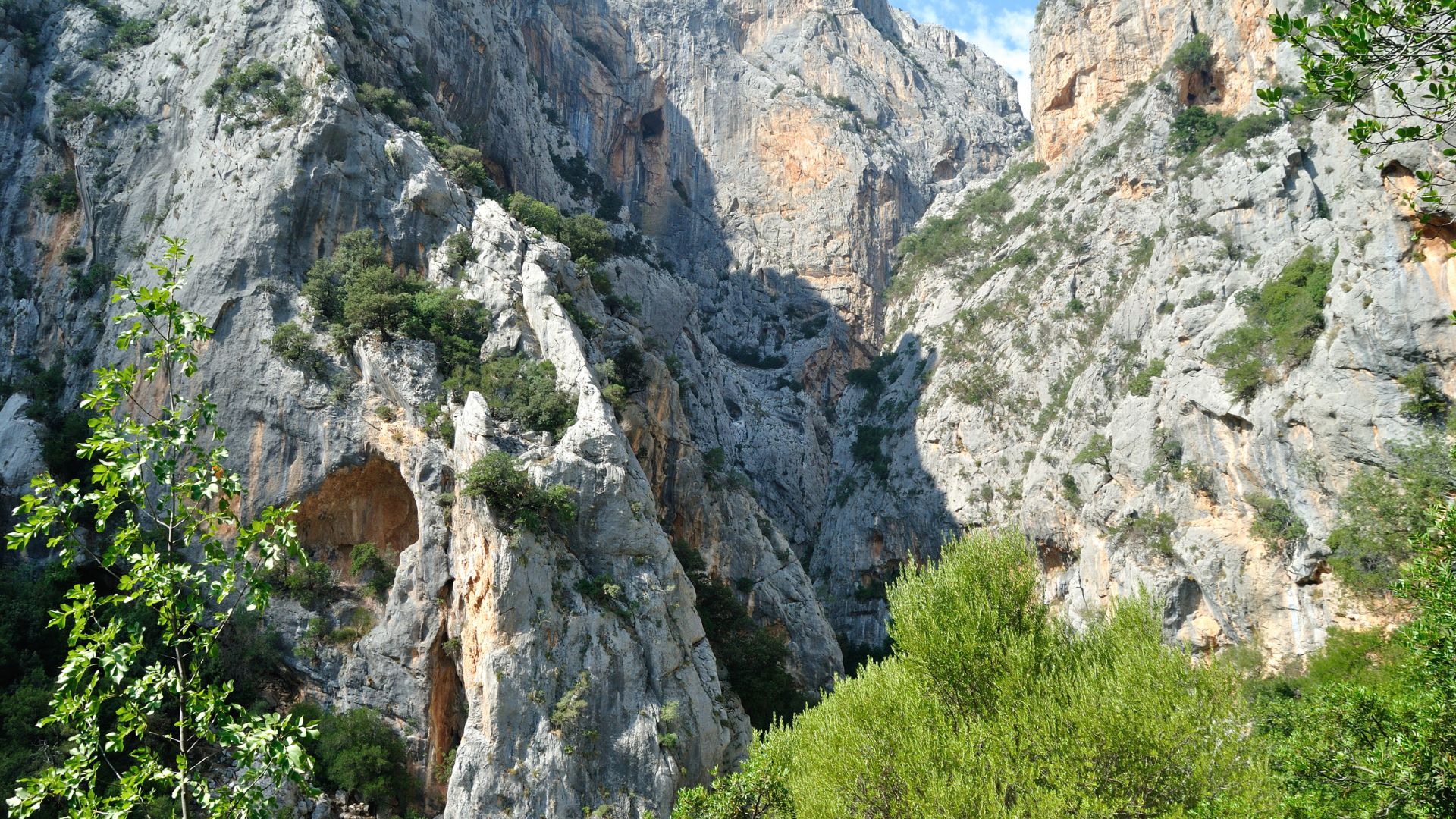  A wide shot of the Gorropu Gorge, a deep canyon with rocky, grey and orange cliffs, partially covered with green vegetation, under a bright sky