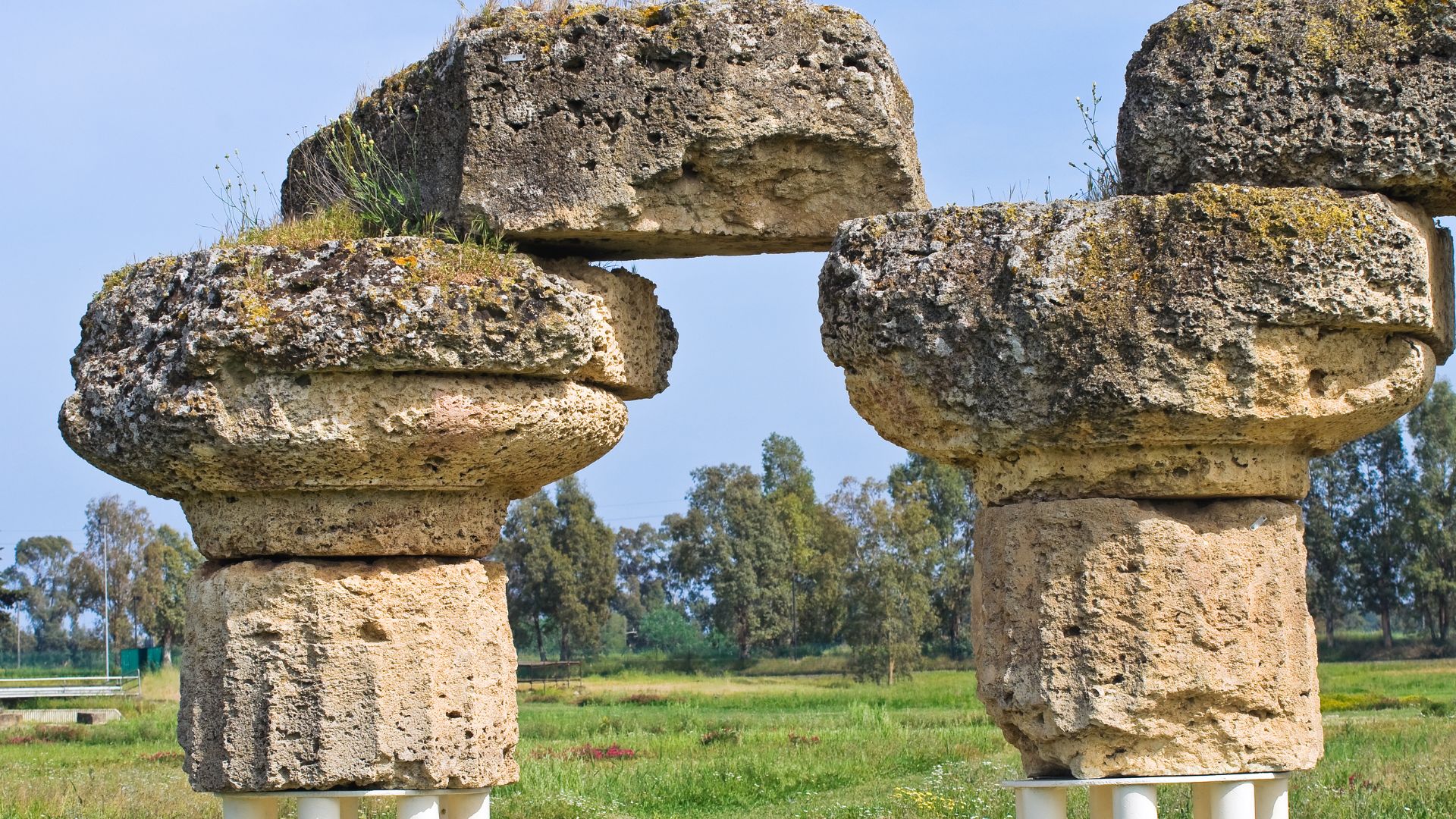 Image shows Archaeological Park, Metaponto, Italy