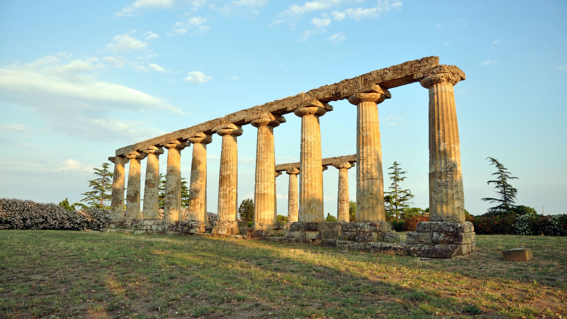 Image shows The Sanctuary of Hera, Greek columns at the Archaeological Park, Metaponto, Italy.
