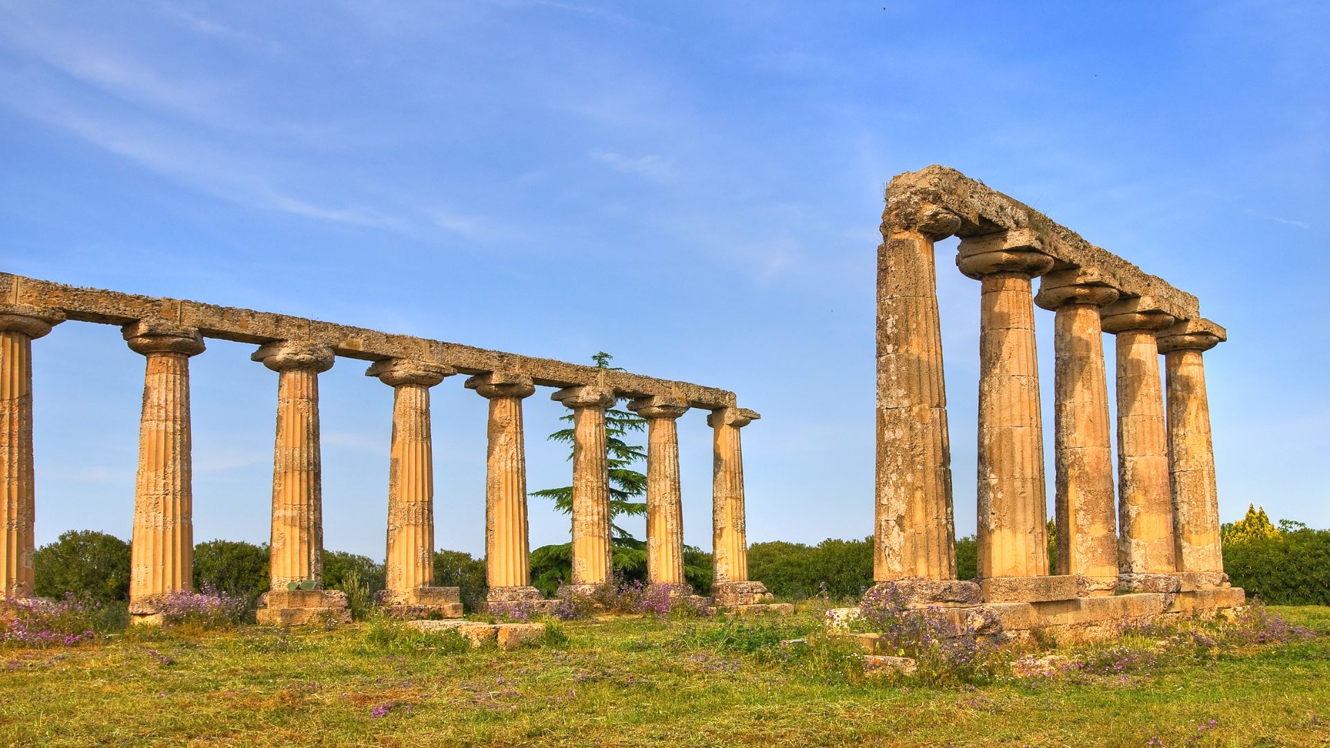 Image shows Greek columns at the Archaeological Park, Metaponto, Italy.