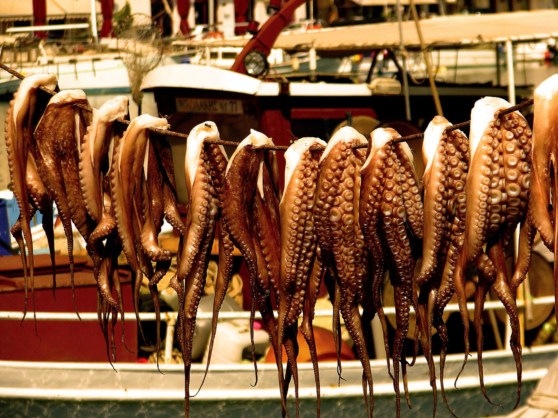 An octopus hanging dry on a rope or line in Gythio, Greece