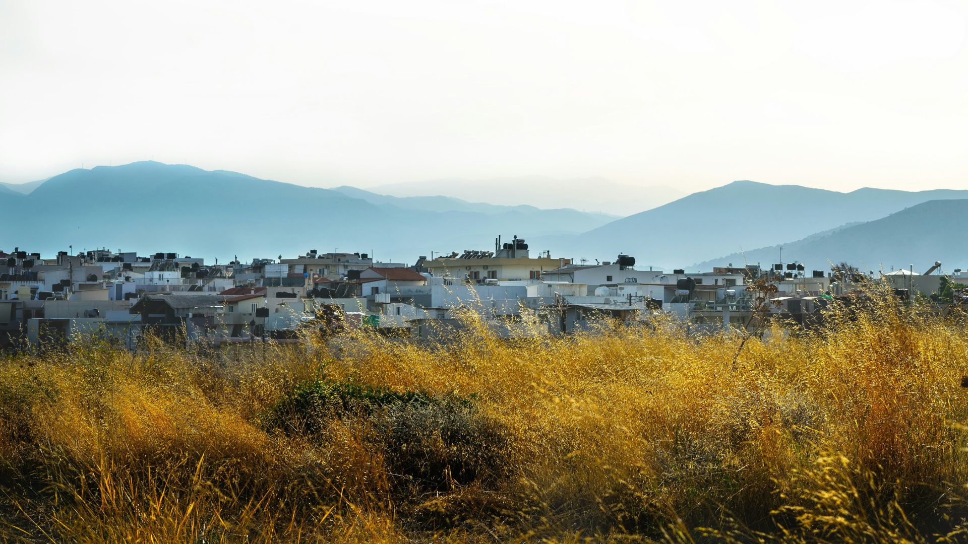 A view of Heraklion, Crete, with white buildings and mountains in the background, and tall grass in the foreground.