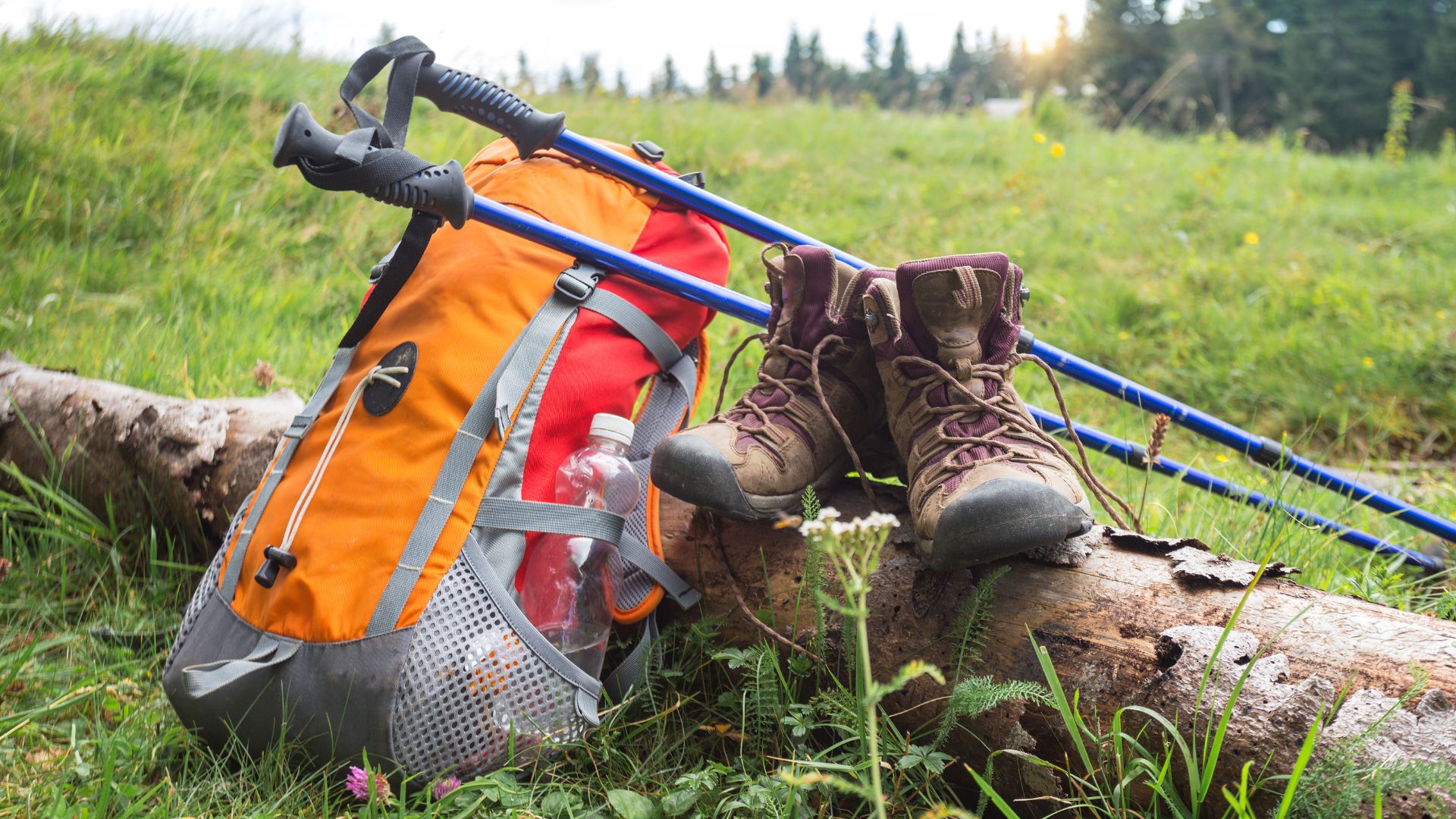 Image shows hiking essentials like ankle boots, hiking poles bag and a bottle of water.