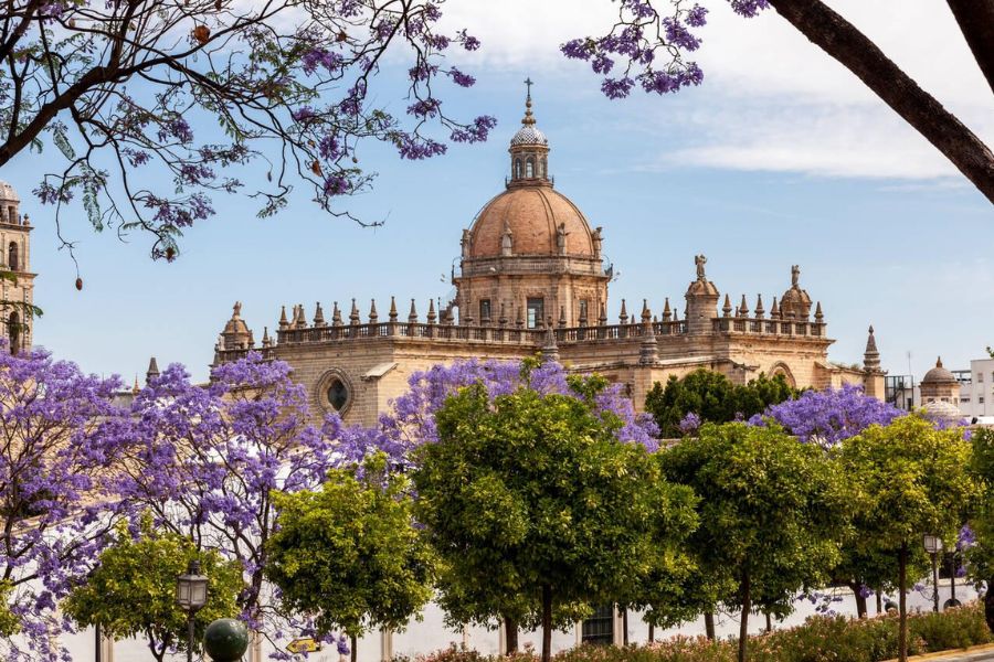 Jerez: My Spirited Journey into the Heart of Sherry Wine – Bodegas, Horses, and Flamenco Fire!