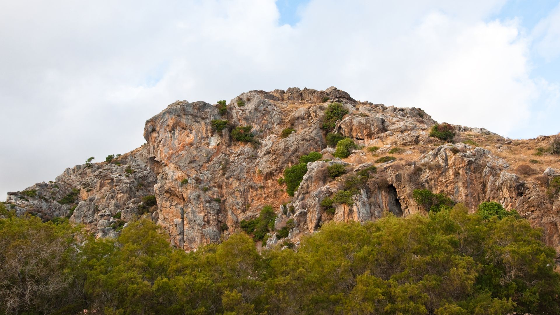 A rocky gorge with sparse vegetation, surrounded by green trees at its base, under a cloudy sky.